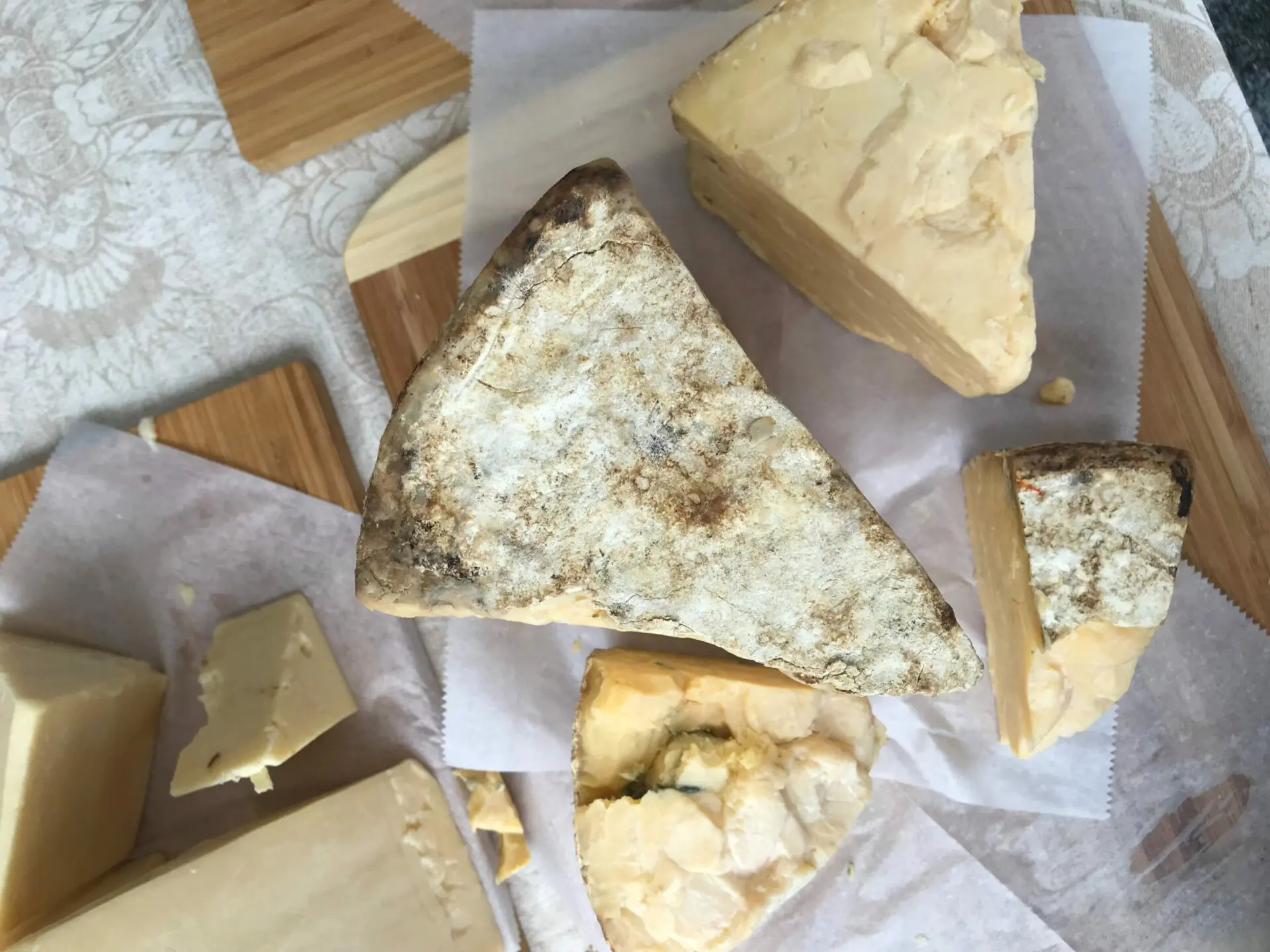 rebecca-orlov-epic-playdate-rfI4MmZXZOk-unsplash