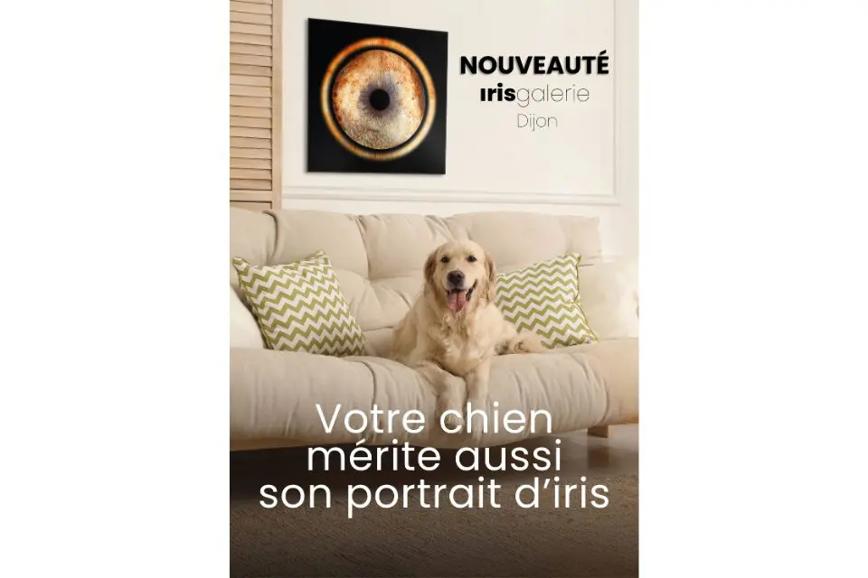 Iris Galerie : Annonce exclusive !