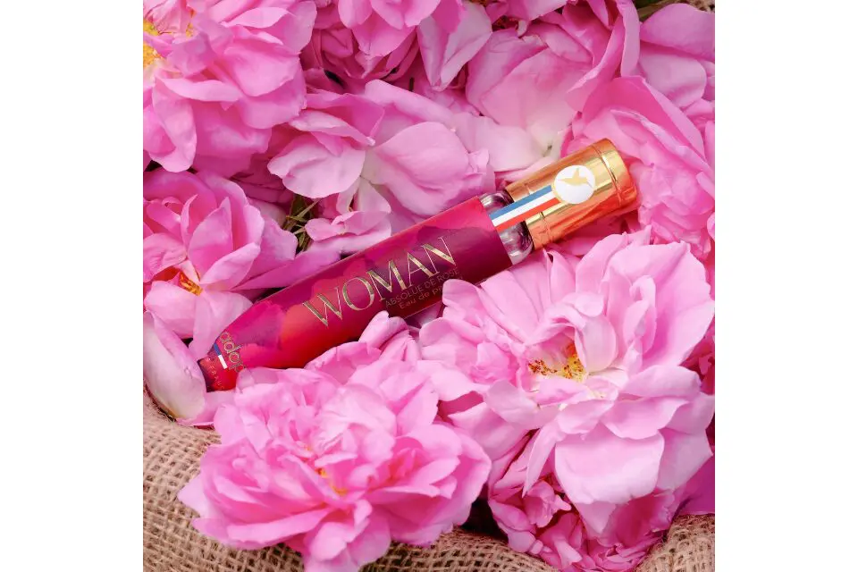 Adopt Dijon : Un geste pour la planète